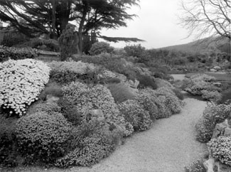 Walled Garden 